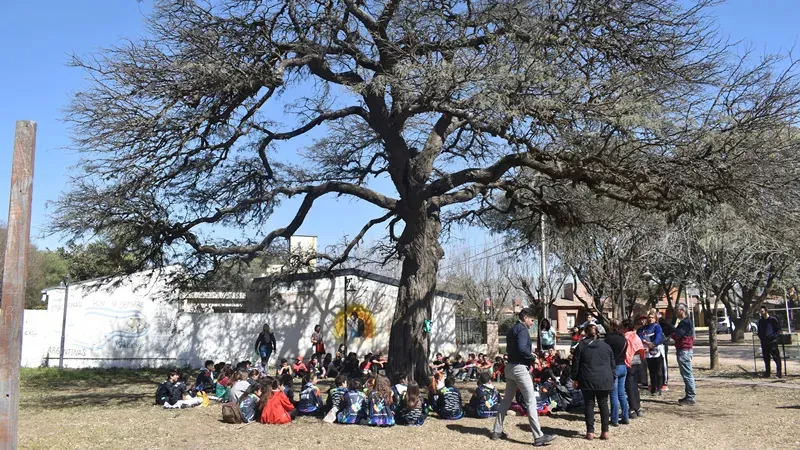 Algarrobo plaza República de Italia