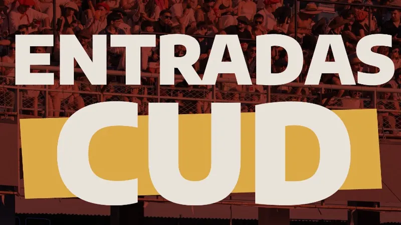 Entradas CUD