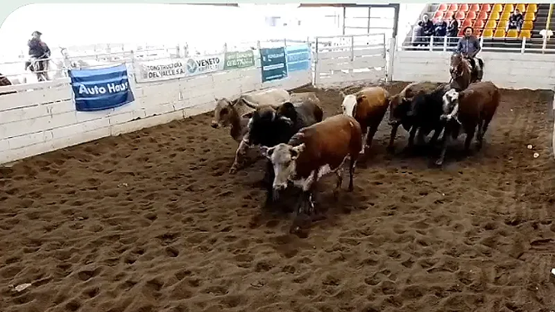 Remate SRJM 3