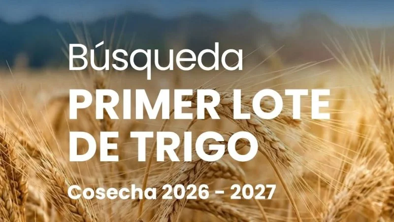 Primer lote de trigo