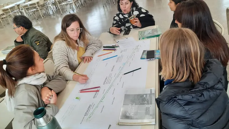 Forestación Sinsacate