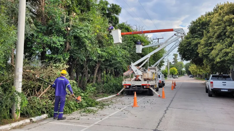 Poda de la Cooperativa