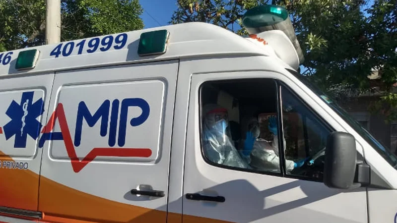 AMIP