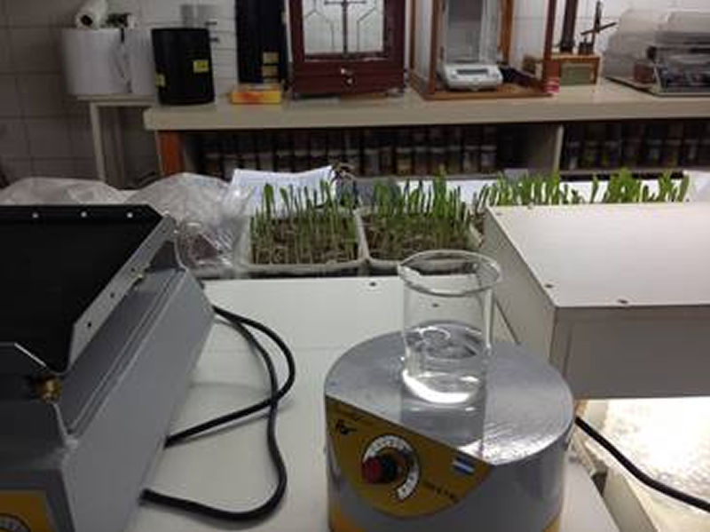 Laboratorio SRJM