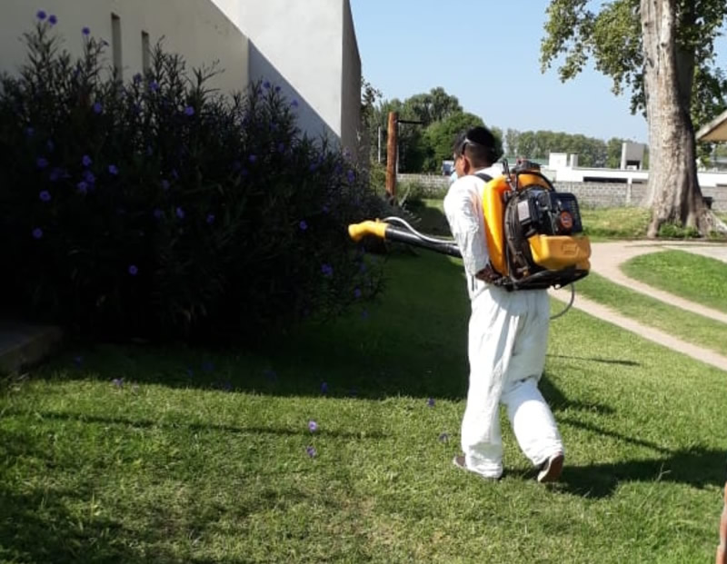 Fumigación contra dengue en CC