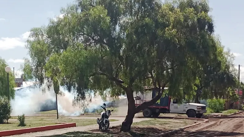 Fumigación en JM