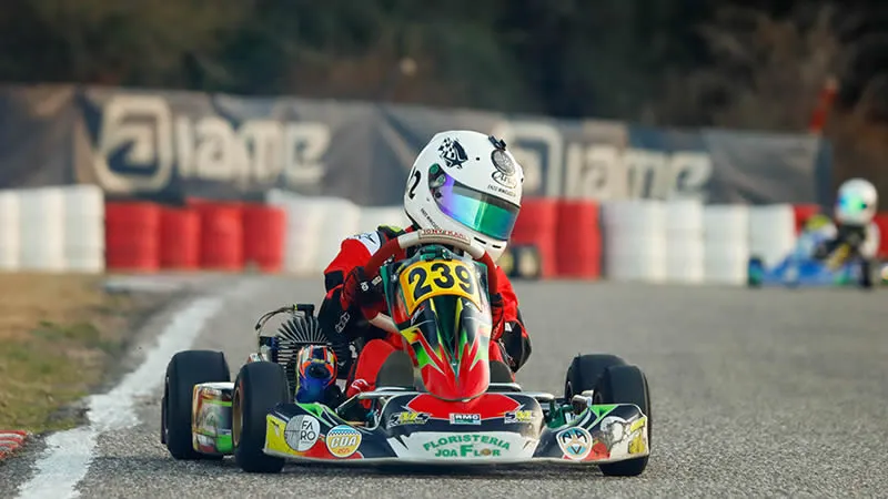 Enzo Minicucci 8
