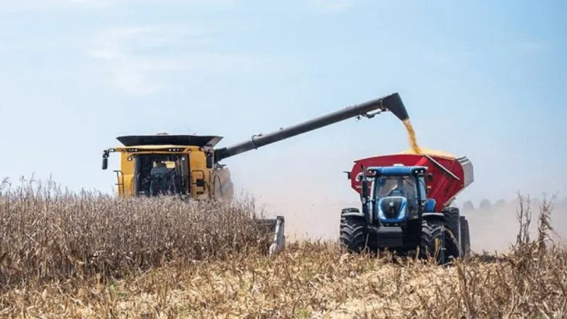 Cosecha de maíz
