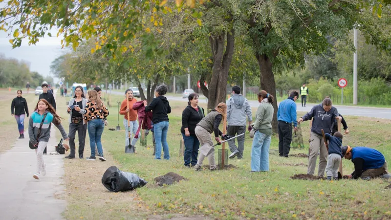 Plantación de árboles en Sinsacate