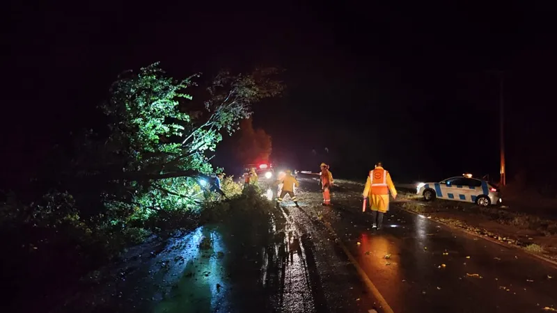 Arbol caído en Ruta E66