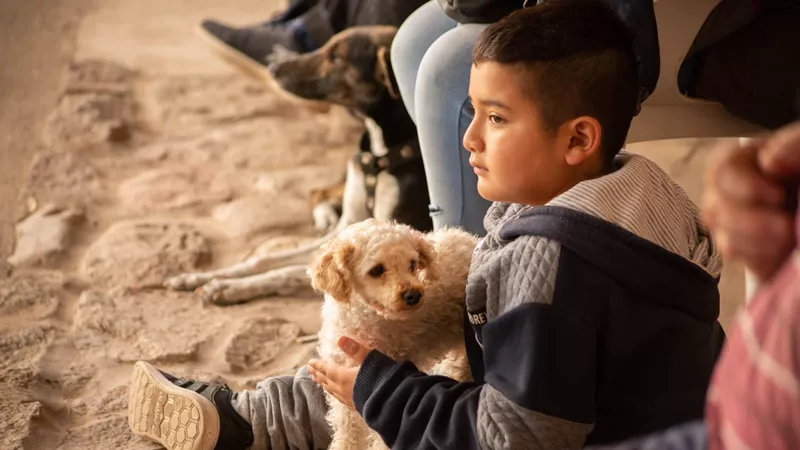 Charlas sobre mascotas