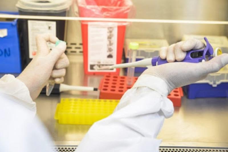 Laboratorio de Hemoderivados