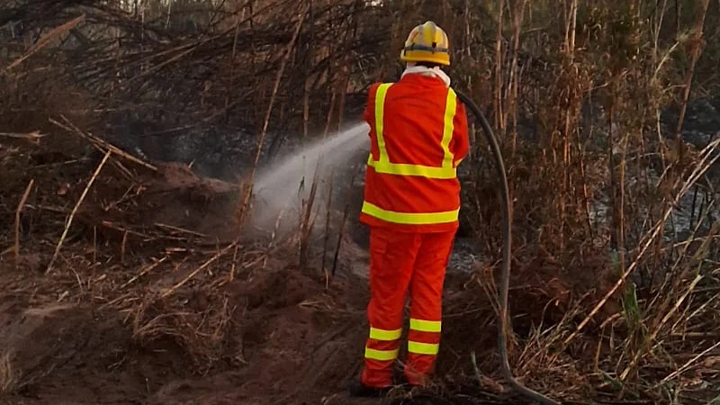 Incendio en Tinoco