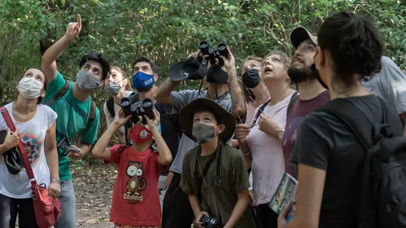 Safari fotográfico