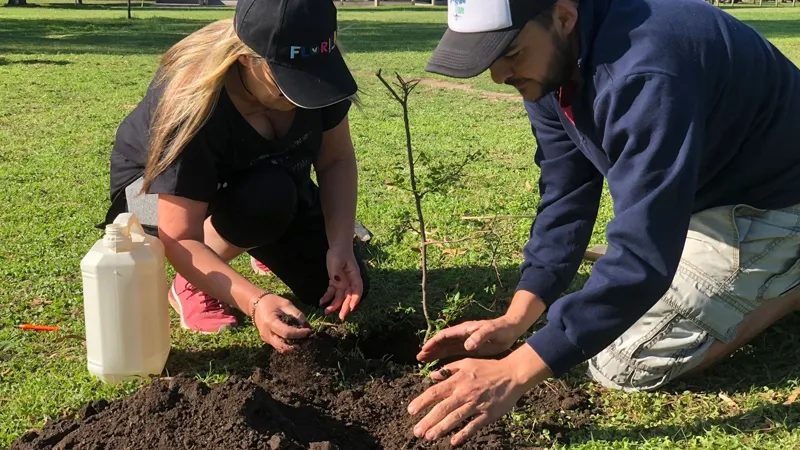 Forestación La Florida