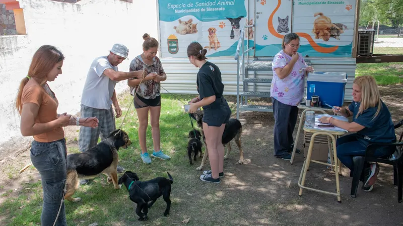 Vacunación antirrábica en SInsacate