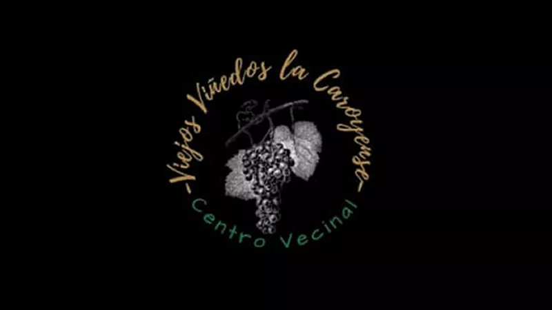 Viejos Viñedos
