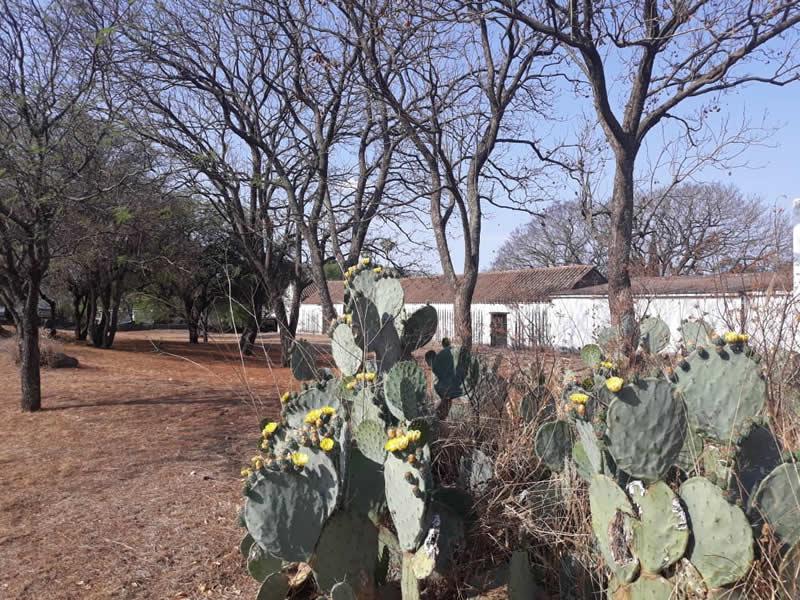 Parque autóctono de la Posta