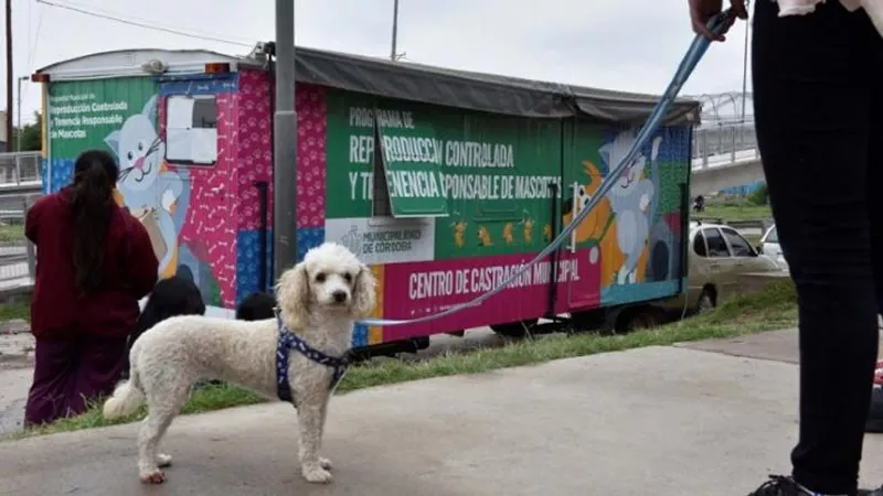 Movil de castraciones