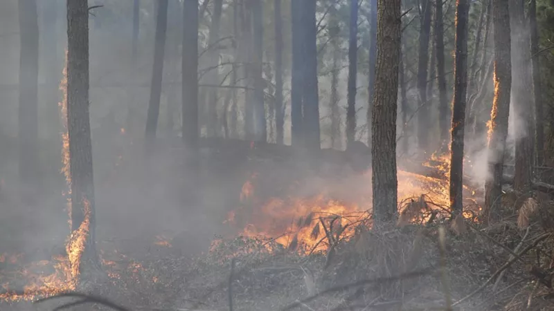 Riesgo de incendios