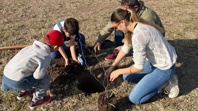 Plantación en Sinsacate