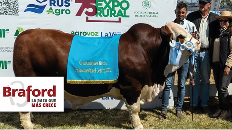 Gran Campeón SRJM