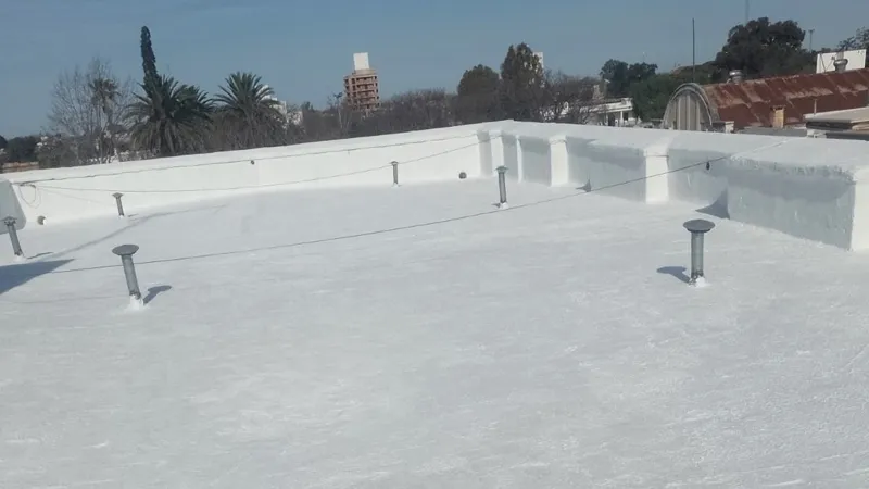 Techo de la Biblioteca
