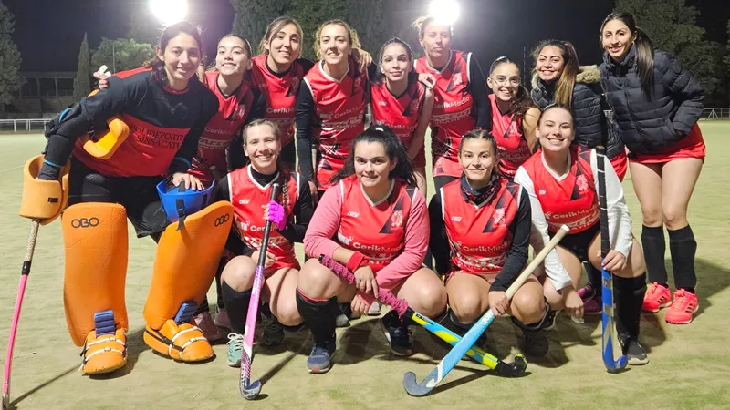 Lion Hockey Sinsacate